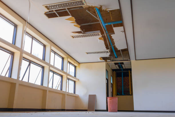 Best Carpet water damage restoration  in Thompsonville, PA