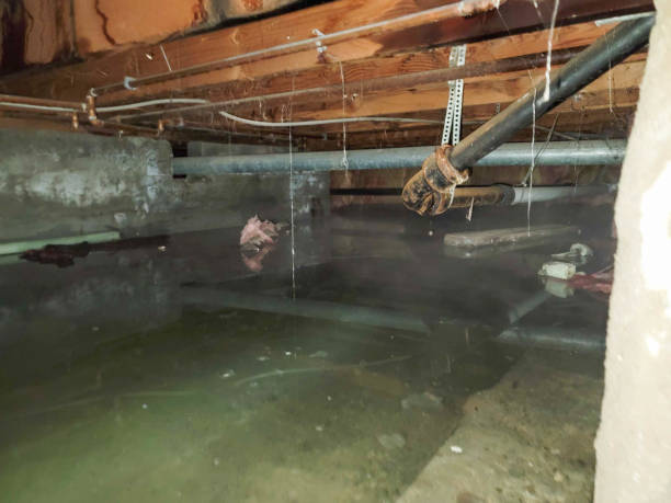 Best Ceiling water damage repair  in Thompsonville, PA