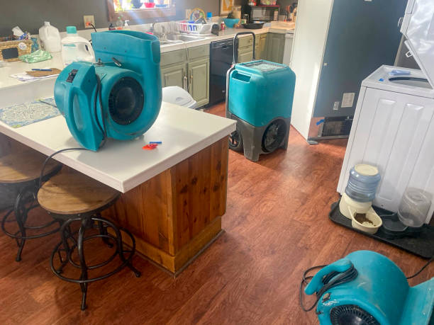 Carpet water damage restoration in Thompsonville, PA