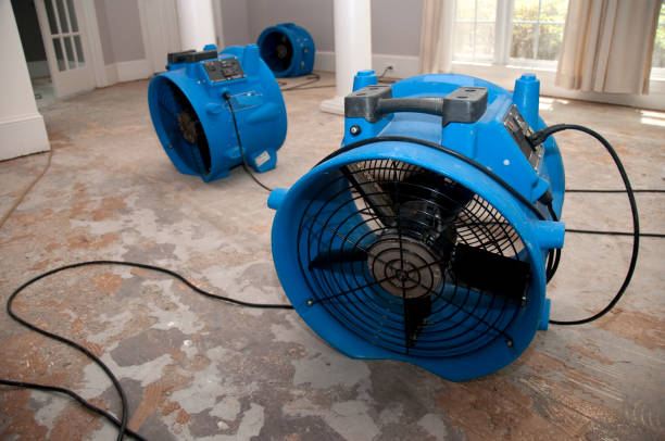 Best Flood damage cleanup  in Thompsonville, PA