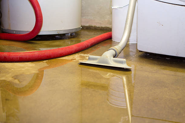 Best Professional water damage repair  in Thompsonville, PA