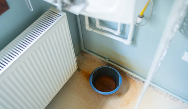 Best Flood damage cleanup  in Thompsonville, PA