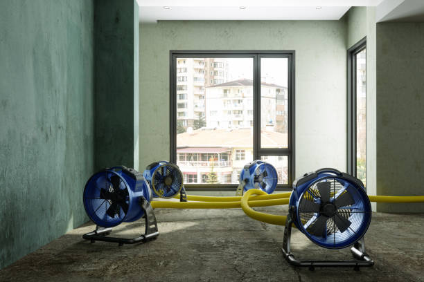 Water damage restoration insurance claims in Thompsonville, PA