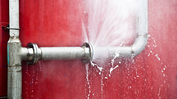  Thompsonville, PA Water damage restoration Pros