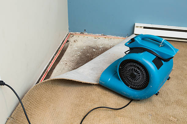 Best Water damage restoration services  in Thompsonville, PA